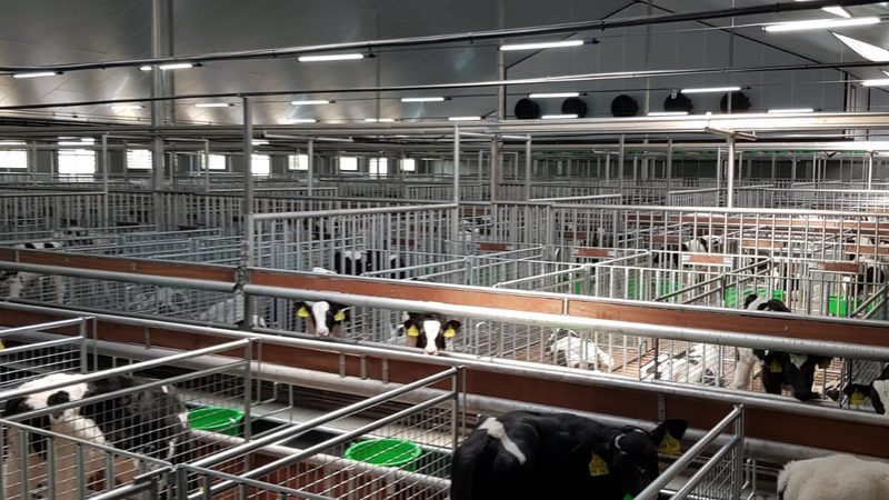 抖音小店一件代发与囤货：两种模式的优劣对比